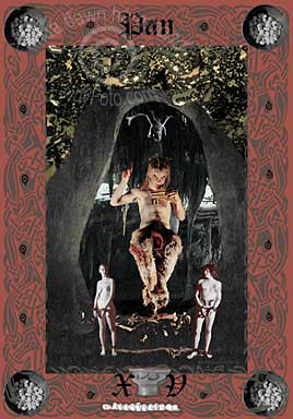 Death/ Schattenspiel Tarot Series